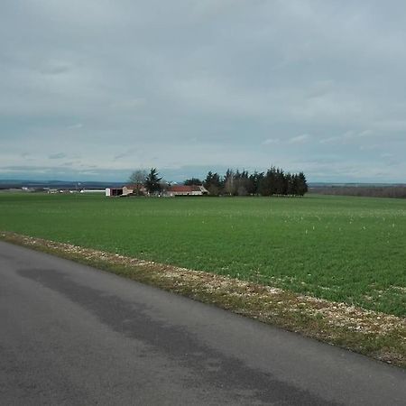 Maison Entiere Independante Noyers-sur-Serein Eksteriør billede