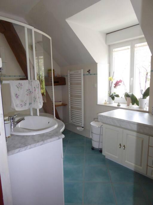 Maison Entiere Independante Noyers-sur-Serein Eksteriør billede